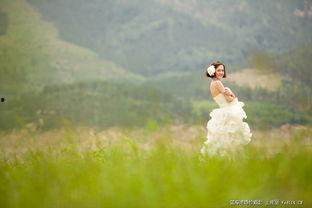 青青青草国产免费,国产影视的清新之作